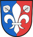 Pohled