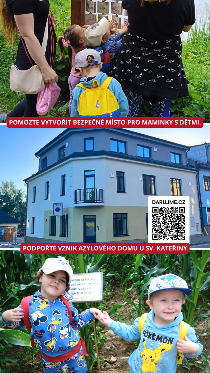 Instagram story Darujme Instagram story Darujme
